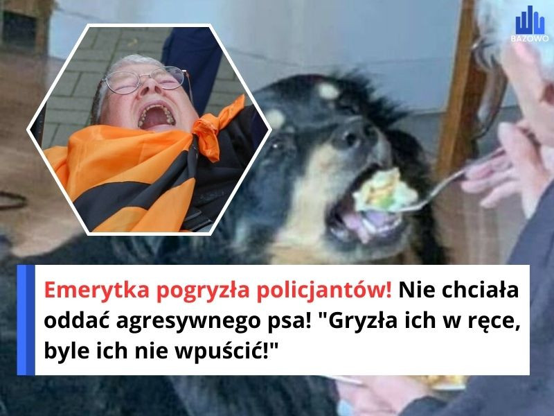 Emerytka pogryzła policjantów! Nie chciała oddać agresywnego psa! "Gryzła ich w ręce, byle ich nie wpuścić!"